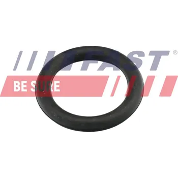 Spojovací materiál motoru Těsnění sacího potrubí - koleno FAST FT49419