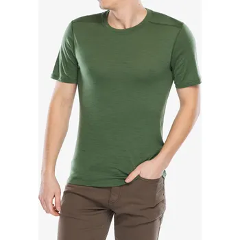 Pánské tričko Merino triko Smartwool Merino Short Sleeve Tee Boxed - fern green