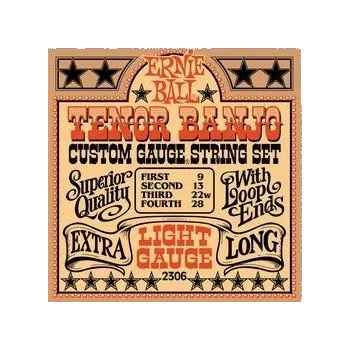 Struna pro kytaru a smyčcový nástroj Ernie Ball 2306