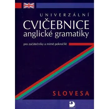 Anglický jazyk Univerzální cvičebnice anglické gramatiky pro začátečníky a mírně pokročilé – slovesa - Petr Kácha
