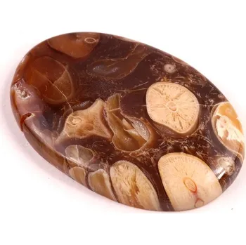 Korálek Kabošon Peanut Fossil č.2522 (40x27x6mm)