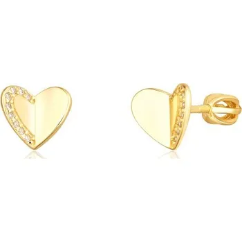 Náušnice Náušnice JVD SVLE1739XH2GOSR stříbrné