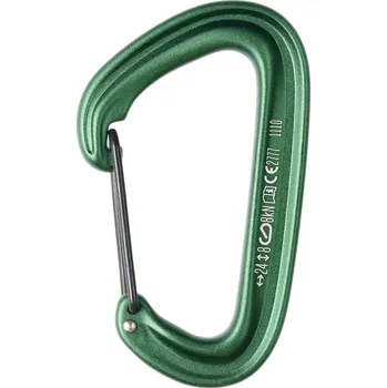 Jištění Karabina Black Diamond LiteWire - green