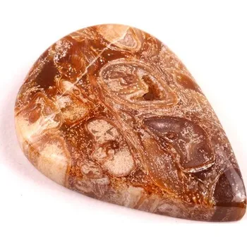 Korálek Kabošon Peanut Fossil č.2507 (35x24x6mm)