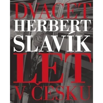 Umění Dvacet let v Česku - Herbert Slavík