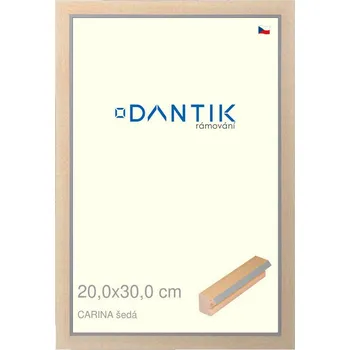 Rám na obraz DANTIK rámeček 20x30 | CARINA šedá (Sklo Čiré) (Vyrobeno s láskou u nás v DANTIKU)