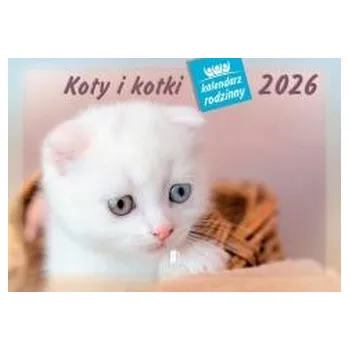 Kalendář Kalendarz 2026 rodzinny Koty i kotki