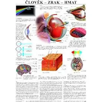 Bystrá hlava Plakát - Člověk - Zrak, hmat