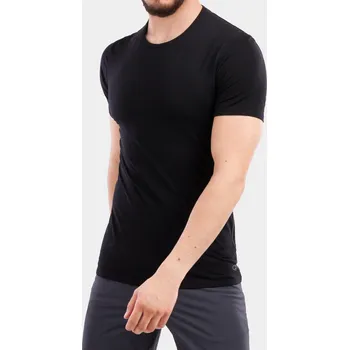 Pánské tričko Tričko Icebreaker Anatomica S/S Crewe - blk/monsoon