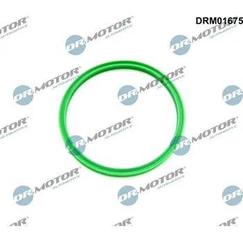 Automobilové těsnění Těsnicí kroužek, hadice plnicího vzduchu DR.MOTOR DRM01675
