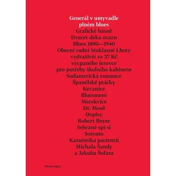Generál v umyvadle plném blues - Michal Šanda