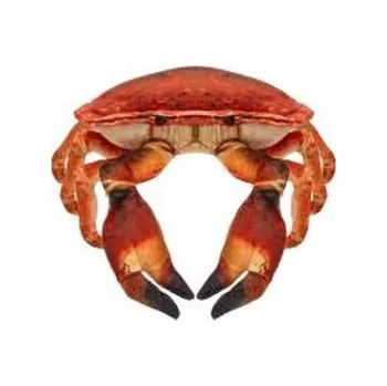 plyšák Krab słonowodny 26cm