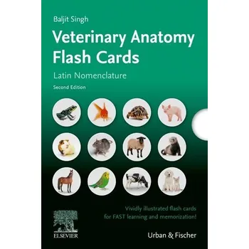 Lernkarten Veterinäranatomie / Veterinary Anatomy Flash Cards - Singh, Baljit