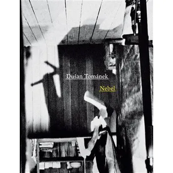 Umění Nebel - Dušan Tománek
