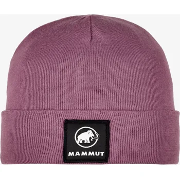 Čepice Zimní čepice Mammut Fedoz Beanie - flux