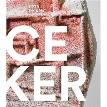 Space Maker - Petr Písařík