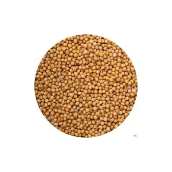 Semeno hořčice váha: 500g