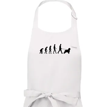 Kuchyňská zástěra Evoluce pes Briard - Pánská zástěra na vaření - Univerzální velikost ( Bílá )