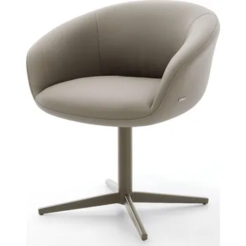 Jídelní židle DELIFE Jídelní židle Vinka-Flex s područkami pravá kůže tmavě béžová podnož ve tvaru kříže titanová barva 360° otočný taštičkové pružiny