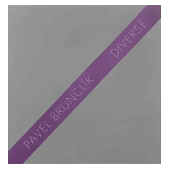 Umění Diverse - Pavel Brunclík