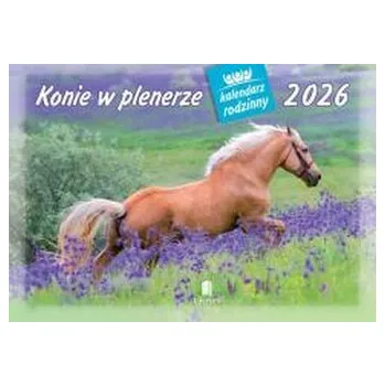 Kalendář Kalendarz 2026 rodzinny Konie w plenerze