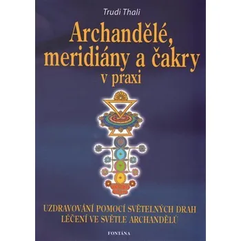 Archandělé, meridiány a čakry v praxi - Uzdravování pomocí světelných drah, léčení ve světle archandělů - Trudi Thali