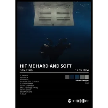 Obraz Billy Eilish Plakát Dárek album přítel přítelkyně dekorace bez rámu