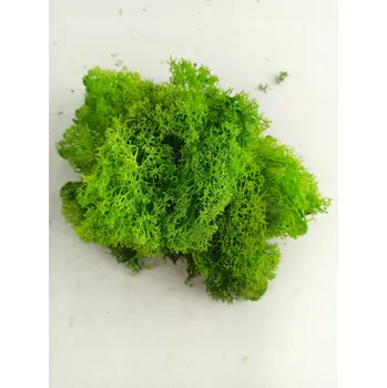 Bytová dekorace Umělý mech imitace chmerek světle zielony 10 g