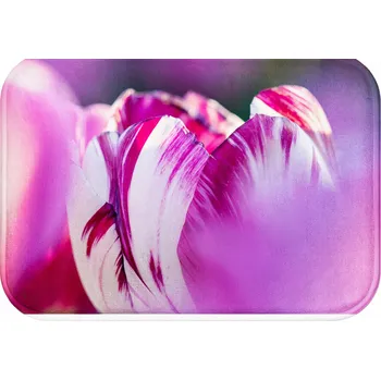 Koupelnová předložka KOUPELNOVÁ PŘEDLOŽKA PŘÍRODA PROTISKLUZOVÁ VODĚODOLNÁ RYCHLESCHNOUCÍ