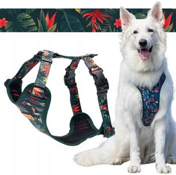 Postroj pro psa BEZTLAKOVÉ postroje pro venčení velkého psa L 30 mm Ukory LISTY monstery