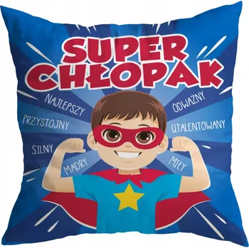 Polštář Polštář Sublix mikrovlákno 35x35 cm s potiskem Den chlapců