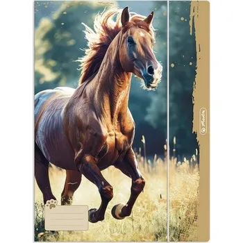 Desky s gumou A4 Herlitz