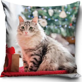 Povlak na dekorativní polštářek Povlak na polštář 40x40 vánoční MĚKKÝ VELVET pro děti hebký Koťátko Vánoce