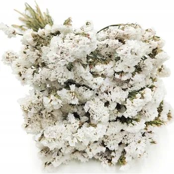 umělá květina Limonka Chobotnatá Limonium sinuatum Bílý sušený KVĚTINA XXL - SVÍTILNA