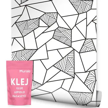 Tapeta TAPETA NA ZEĎ DO OBÝVACÍHO POKOJE LOŽNICE ČERNO-BÍLÁ GEOMETRICKÁ ABSTRAKTNÍ