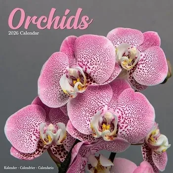 Kalendář Orchids Calendar 2026 Square Flowers Wall Calendar - 16 Month -