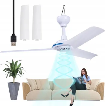 Domácí ventilátor Stropní ventilátor bez bílého Model