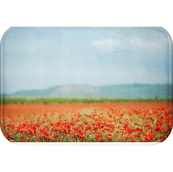 Koupelnová předložka KOUPELNOVÁ PŘEDLOŽKA VODĚODOLNÁ RYCHLESCHNOUCÍ PROTISKLUZOVÁ STYL PŘÍRODA