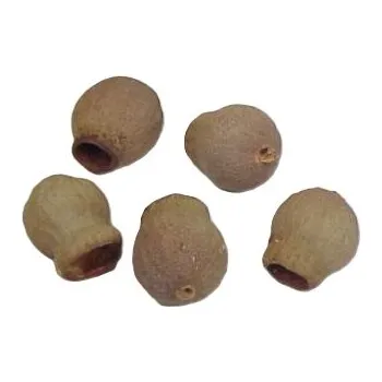 Sušené květiny Gum Bells natural, 40 g