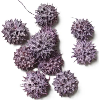 Sušené květiny Ambernut frosted brombeer loose, 200 g, fialové