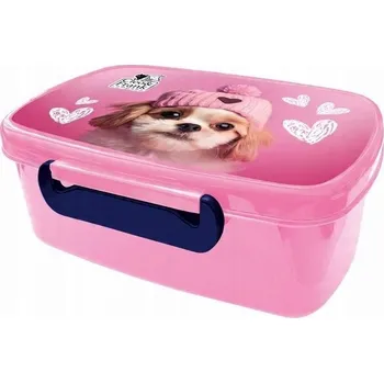 Svačinový box Svačinový Box Derform na obědové boxy, barevné dětské krabičky do 401 ml