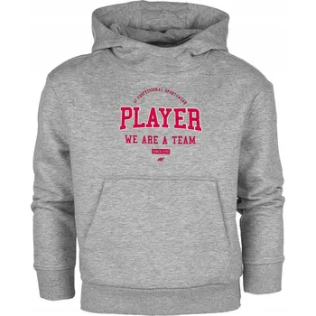 Chlapecká mikina Dětská mikina 4F bavlna , velikost 164