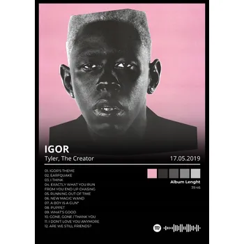 Obraz Tyler Stvořitel IGOR Plakát Dárek pro přítele přítelkyni album v rámu