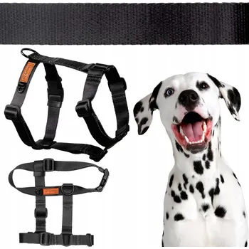 Postroj pro psa POSTROJE GUARD pro středně velké psy M 20 mm Ukory CORGI BORDER JEZEVČÍK