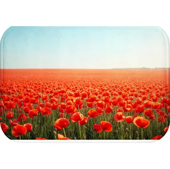 Koupelnová předložka KOUPELNOVÁ PŘEDLOŽKA | VODĚODOLNÁ MĚKKÁ PROTISKLUZOVÁ RYCHLESCHNOUCÍ