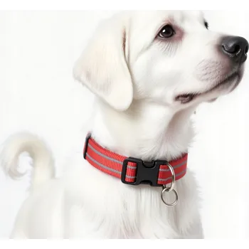 Obojek pro psa SVÍTÍCÍ LED OBOJEK PRO PSA KOČKU VELIKOST S