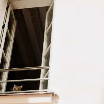 Zahraniční hudba CD M(h)aol: Something Soft 2025