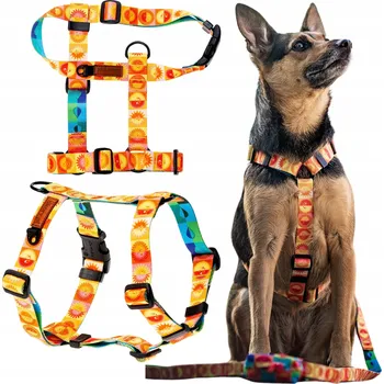 Postroj pro psa Postroj GUARD nastavitelný pro středního psa Kundelka M/L 25 mm Ukory se vzory