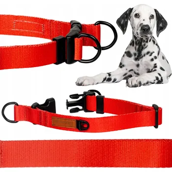 Obojek pro psa Obojek DOUBLE LOCK pro malého psa york XS 15 mm silný Ukory POMERANIAN