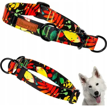 Obojek pro psa Materiálový obojek pro psa Ukory vel. L/XL